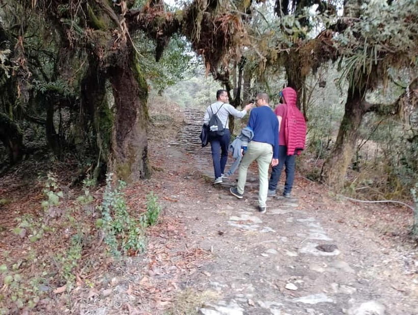 From Pokhara: 2-day Panchase Hill Hiking Tour & Return Drive - Detailed Breakdown of the Itinerary