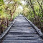 From Pondicherry: Private Day tour to Chidambaram ! - Exploring Cuddalore Market – A Feast for the Senses