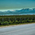 From Samarkand: Shahrisabz Private Day Tour - The Scenic Route and Unique Stops