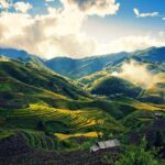 From Sapa : 1 Day Amazing Sapa Trek To Terrace rice field - Who Will Love This Tour?