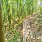 From Sapa 2-Day Sapa Trekking Trip with Homestay & Meals - A Closer Look at the Experience