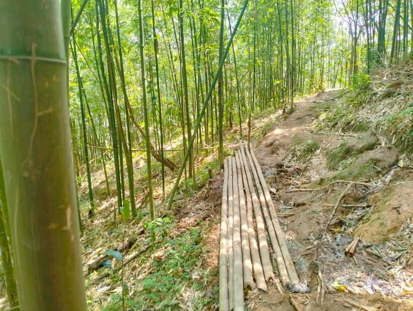 From Sapa 2-Day Sapa Trekking Trip with Homestay & Meals - A Closer Look at the Experience