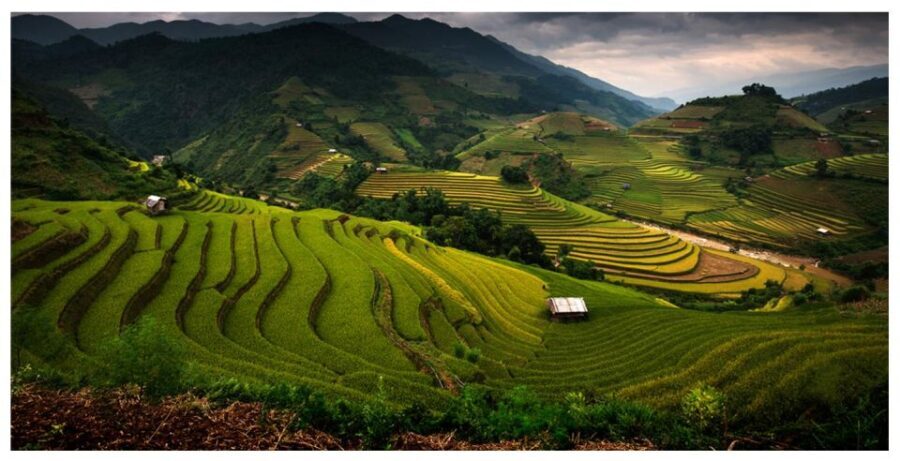 From Sapa: Terrace Fields and Local Villages Trek with Lunch - What’s Included & What’s Not