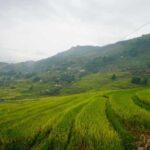 From Sapa to Y Linh Ho/Lao Chai/Ta Van/Ban Ho by Motorbike - What Makes This Tour Special?