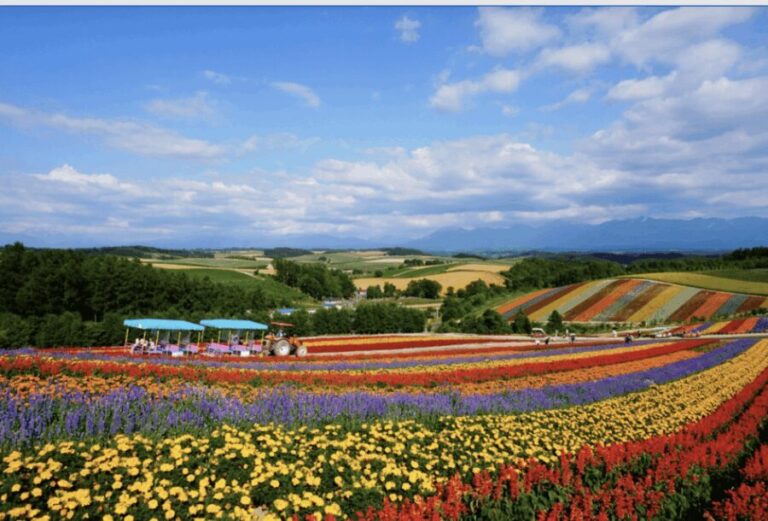 From Sapporo : Hokkaido Furano Tomita Farm Joiner Tour - Practical Details & Tips