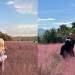 From Seoul: Pocheon, Sanjung Lake and Bidulginang Fall Trip - What the Experience Feels Like