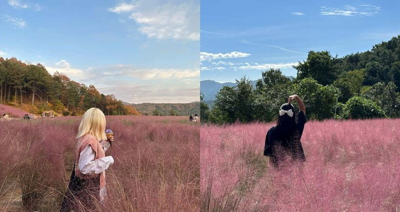 From Seoul: Pocheon, Sanjung Lake and Bidulginang Fall Trip - What the Experience Feels Like