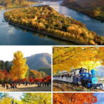 From Seoul: Seoraksan National Park and Nami Island Day Trip - Why This Tour Works Well