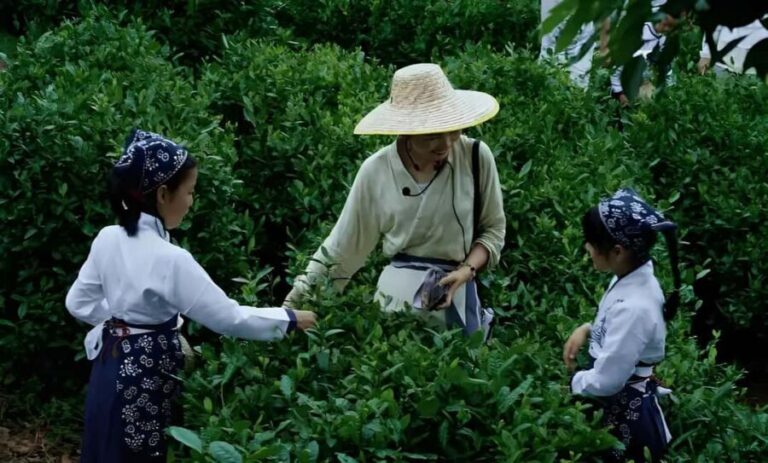 From Shanghai: 7-Day Tour to Huangshan, Hangzhou & Wuzhen - The Practical Side: What You Should Know