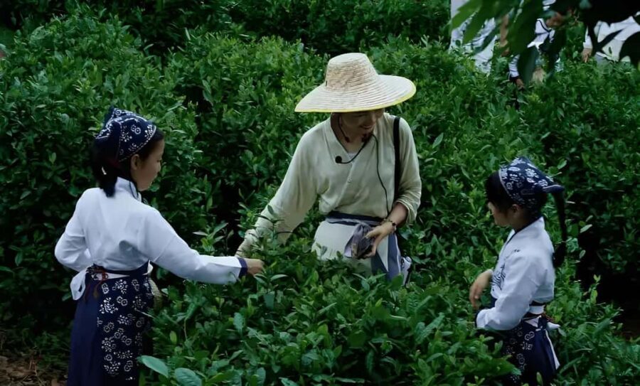 From Shanghai: 7-Day Tour to Huangshan, Hangzhou & Wuzhen - The Practical Side: What You Should Know