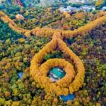 From Shanghai: Nanjing Private Day Trip by High-Speed Rail - The Journey Begins: From Shanghai to Nanjing