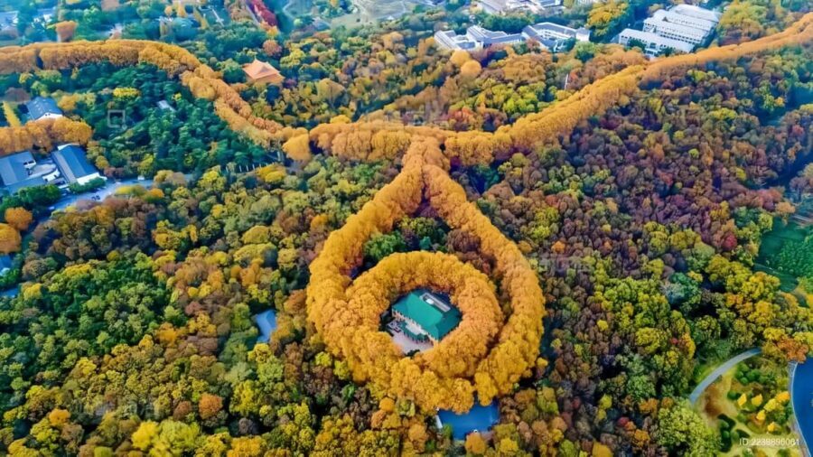 From Shanghai: Nanjing Private Day Trip by High-Speed Rail - The Journey Begins: From Shanghai to Nanjing