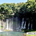 From Shinfuji: Fuji Nature Tour with Guide and Vehicle - Who Will Love This Tour?