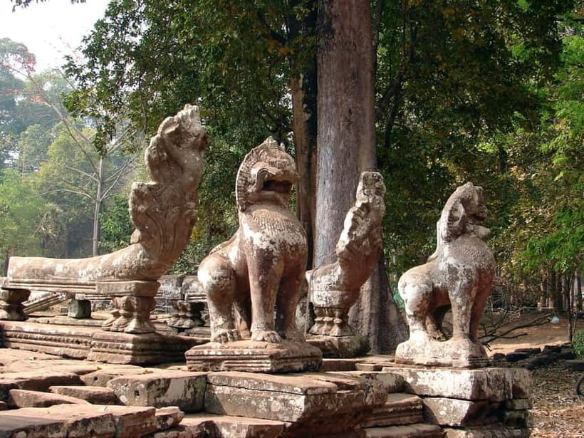 From Siem Reap: Preah Khan, Neak Pean & Pre Rup Private Tour - The Practicalities