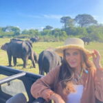 From Sigiriya: Minneriya National Park Private Jeep Safari - Who Should Consider This Tour?