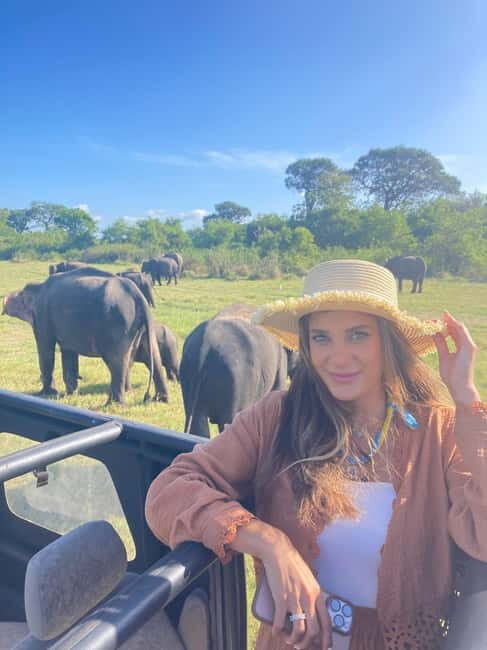 From Sigiriya: Minneriya National Park Private Jeep Safari - Who Should Consider This Tour?