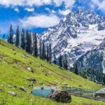 From Srinagar Full Day Trip of Yousmarg - Who Is This Tour Best For?