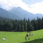 From Srinagar: Sonmarg Day Trip - Travel Details and Practicalities