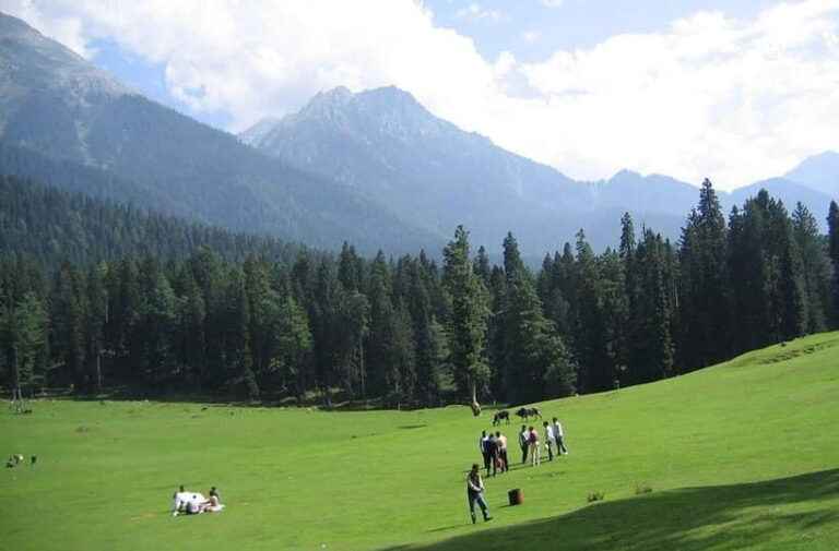 From Srinagar: Sonmarg Day Trip - Travel Details and Practicalities