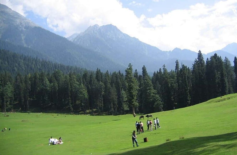 From Srinagar: Sonmarg Day Trip - Travel Details and Practicalities
