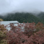 From Taipei: Taipingshan & Jiuzhize Hot Spring Private Tour - Who Should Consider This Tour?