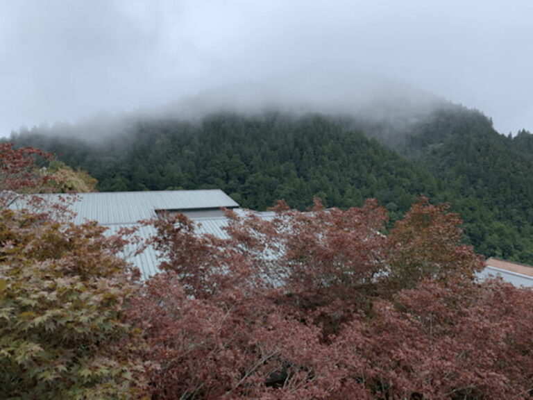 From Taipei: Taipingshan & Jiuzhize Hot Spring Private Tour - Who Should Consider This Tour?