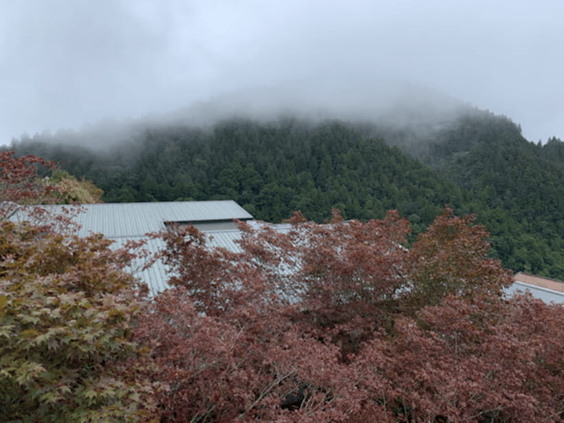 From Taipei: Taipingshan & Jiuzhize Hot Spring Private Tour - Who Should Consider This Tour?