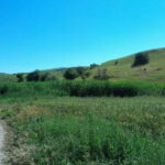 From Tashkent: Chimgan Valley Hiking Day Trip - The Itinerary: From Tashkent to Mountain Marvels