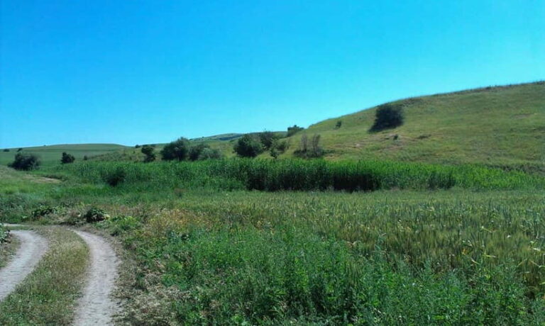 From Tashkent: Chimgan Valley Hiking Day Trip - The Itinerary: From Tashkent to Mountain Marvels