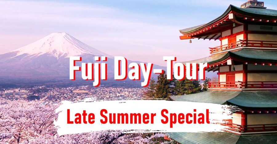 From Tokyo: 10-hour Mount Fuji Private Customizable Tour - Detailed Breakdown of the Tour Experience