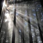 From Tokyo: Chichibu Hiking Day Tour To Mitsumine Shrine - Transport and Practicalities