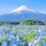 From Tokyo: Hakone and Mount Fuji tour with Transportation - Detailed Breakdown of the Itinerary