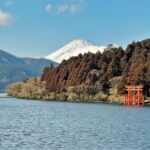 From Tokyo: Mount Fuji and Hakone Private Day Tour - Visiting Owakudani: Volcanic Wonders and Black Eggs