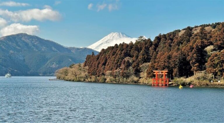 From Tokyo: Mount Fuji and Hakone Private Day Tour - Visiting Owakudani: Volcanic Wonders and Black Eggs