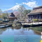 From Tokyo: Mount Fuji and Hakone Private Day Trip - Transportation and Timing