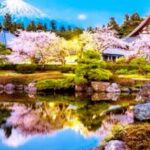 From Tokyo: Mount Fuji And Hakone Private Full Day Trip - Customization and Additional Experiences