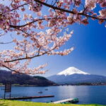 From Tokyo: Mount Fuji Full Day Private Customizable Tour - The Value of a Private, Customizable Experience