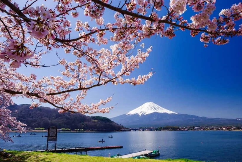 From Tokyo: Mount Fuji Full Day Private Customizable Tour - The Value of a Private, Customizable Experience