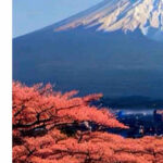 From Tokyo: Mount Fuji Full Day Private Tour English Guide - Detailed Itinerary Breakdown