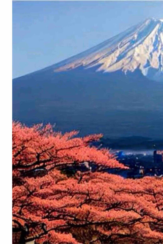 From Tokyo: Mount Fuji Full Day Private Tour English Guide - Detailed Itinerary Breakdown