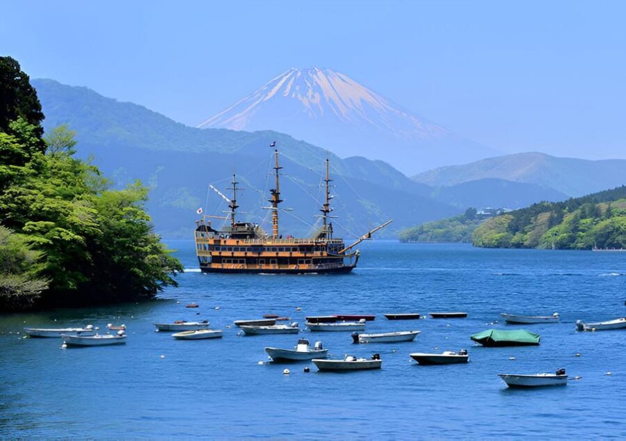 From Tokyo: Mount Fuji & Hakone Full Day Private Tour - A Detailed Look at the Tour Experience