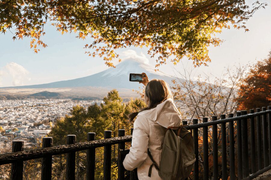 From Tokyo: Mount Fuji or Hakone Customized Day Trip - Who Would Love This Tour?