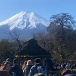 From Tokyo: Mount Fuji Private Day Trip with Pickup - The Flexibility and the Value of the Experience
