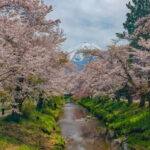 From Tokyo: Mount Fuji Private Tour with a Driver/Guide - Why This Tour Works for Different Travelers