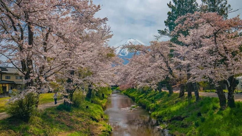 From Tokyo: Mount Fuji Private Tour with a Driver/Guide - Why This Tour Works for Different Travelers