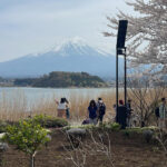 From Tokyo: Mount Fuji Private Tour With English speaking Dr - Why the Tour Works (and Why It Might Not)