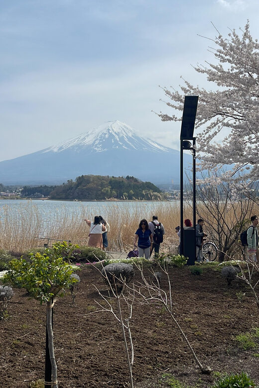 From Tokyo: Mount Fuji Private Tour With English speaking Dr - Why the Tour Works (and Why It Might Not)