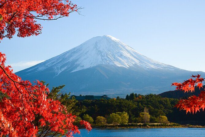 From Tokyo: Mount Fuji Sightseeing Full Day Trip - Practical Details and What to Expect