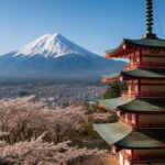 From Tokyo: Mount Fuji's Highlights Private Day Tour - The Flexibility That Sets It Apart