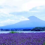 From Tokyo: Mt. Fuji 5th station and Oshino Hakkai Day Trip - What Makes This Tour a Great Choice